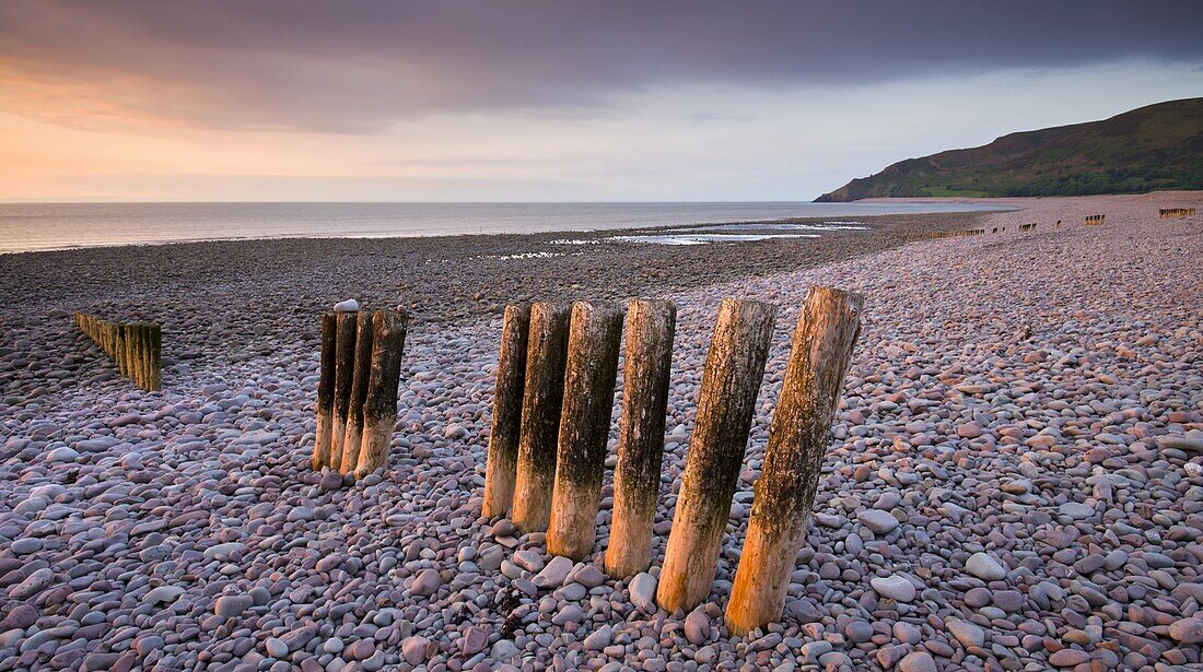 Weathered wooden coastal defenses on Bossington Beach, Exmoor National Park, Somerset, England, United Kingdom, Europe