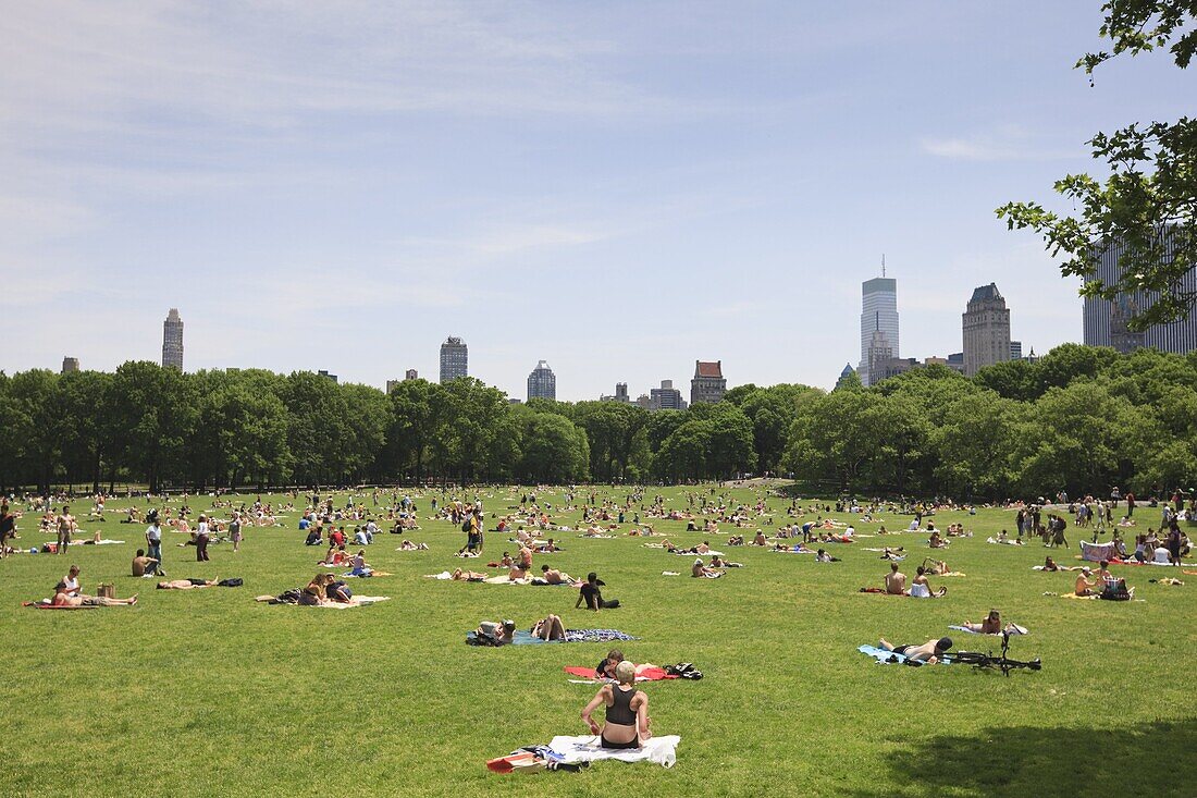Sheep Meadow, Central Park on a Summer day, New York City, New York, United States of America, North America