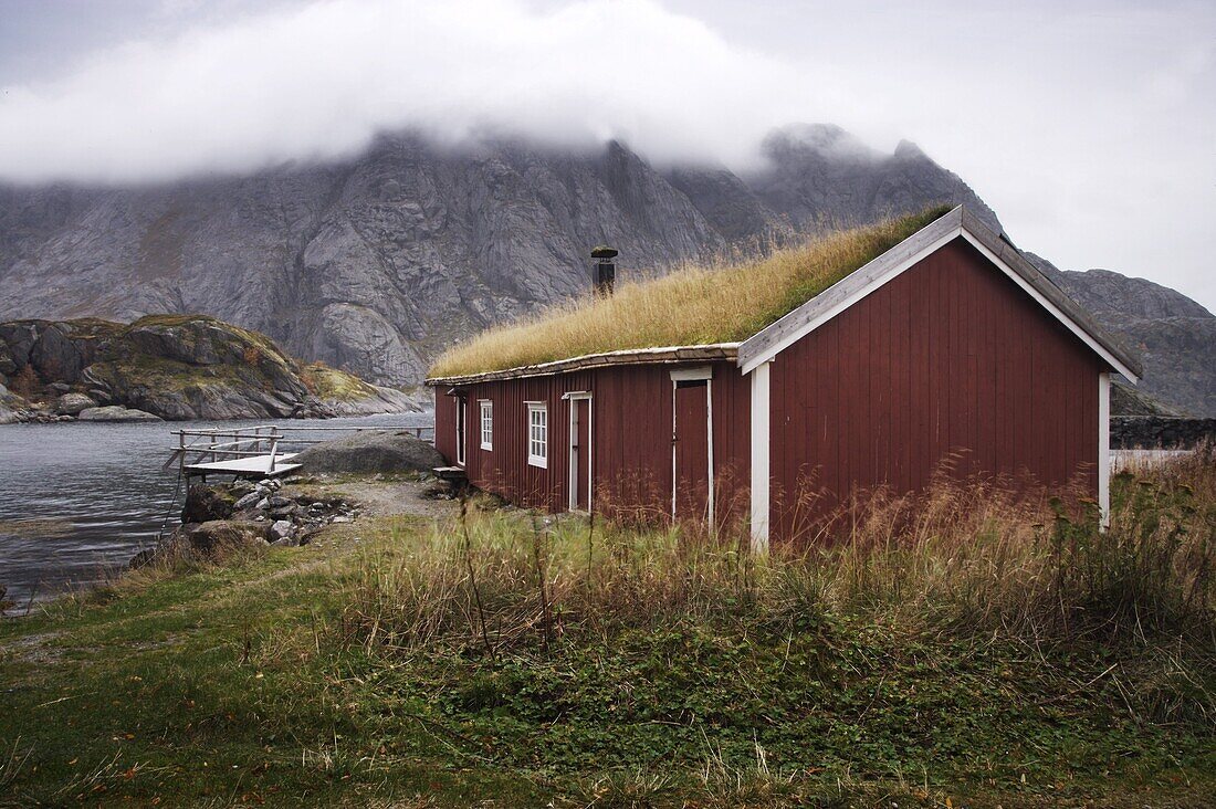 Rorbu (fisherman's hut) with grass roof by fjord, Lofoten Islands, Norway, Scandinavia, Europe