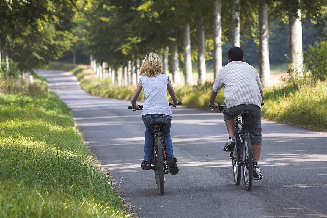 Cyclists on a Dorset country road, Moor Crichel, Dorset, England, United Kingdom, Europe