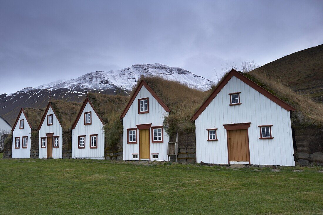 Laufas historic farmstead, large turf farm house built between 1866 and 1970, north of Akureyri, Iceland, Polar Regions