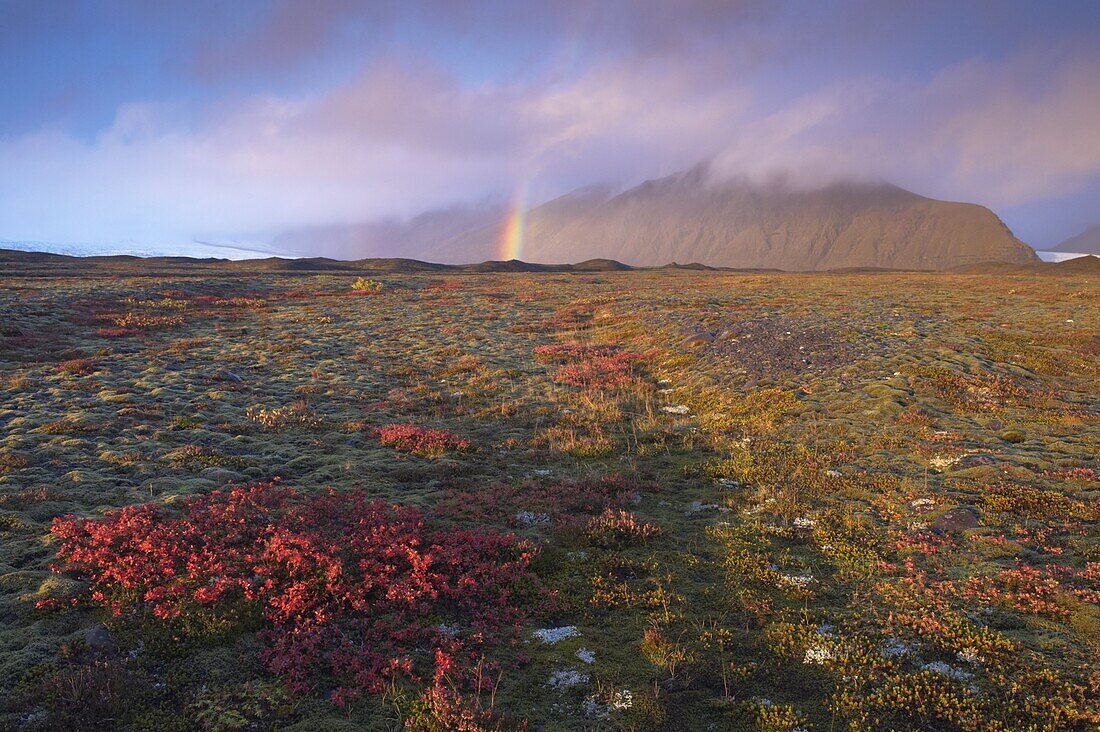 Autumn colours and rainbow over Illuklettar near Skaftafellsjokull glacier seen in the distance, Skaftafell National Park, East Iceland, Iceland, Polar Regions