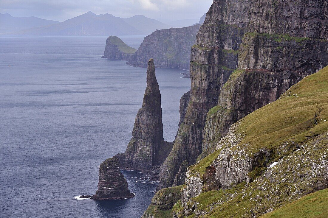 Spectacular 300-400m high cliffs on west coast of Sandoy, Oknadalsdrangur sea stack in foreground, Sandoy, Faroe Islands (Faroes), Denmark, Europe