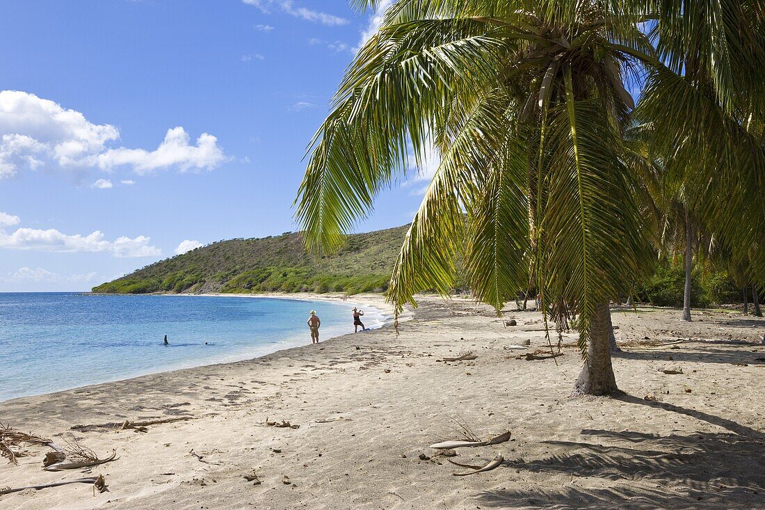 Turtle Beach on the southeast peninsula,  St. Kitts,  Leeward Islands,  West Indies,  Caribbean,  Central America