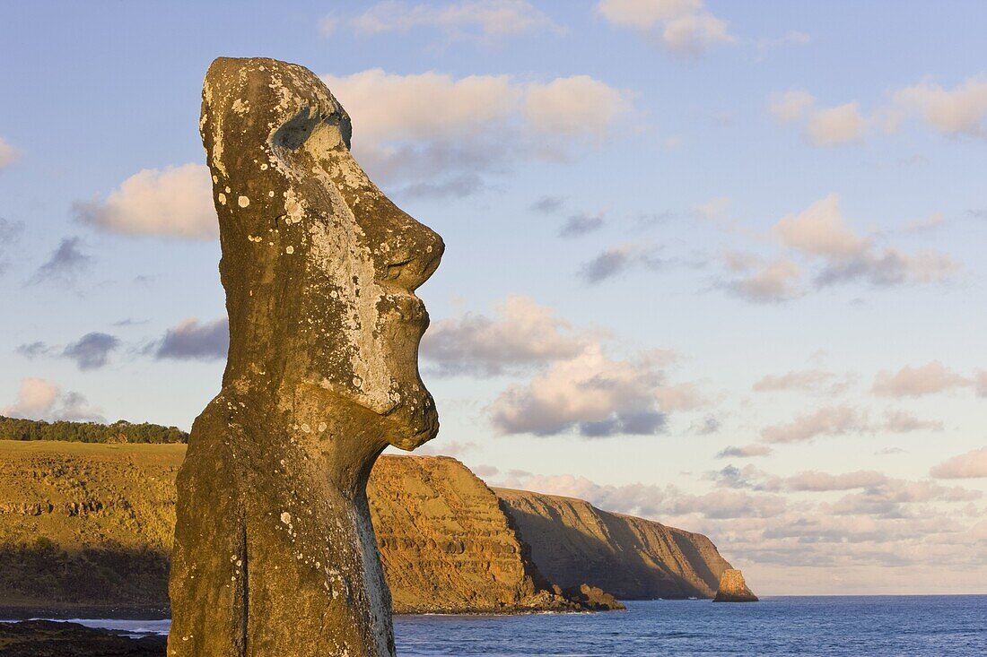 Lone monolithic giant stone Moai statue looking out to sea at Tongariki,  Rapa Nui (Easter Island),  UNESCO World Heritage Site,  Chile,  South America