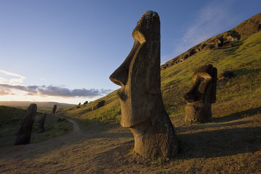 Giant monolithic stone Moai statues at Rano Raraku,  Rapa Nui (Easter Island),  UNESCO World Heritage Site,  Chile,  South America