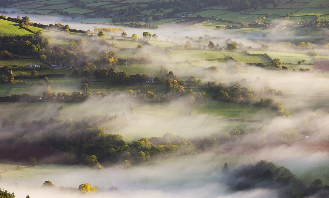 Mist blows over rolling countryside in the early morning near Talybont-on-Usk,  Brecon Beacons National Park,  Powys,  Wales,  United Kingdom,  Europe
