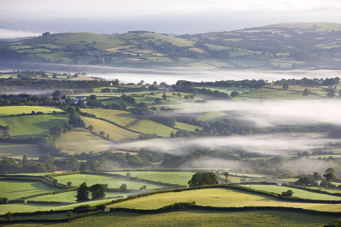 Mist covered rolling farmland at dawn,  near Llangadog,  Brecon Beacons National Park,  Carmarthenshire,  Wales,  United Kingdom,  Europe