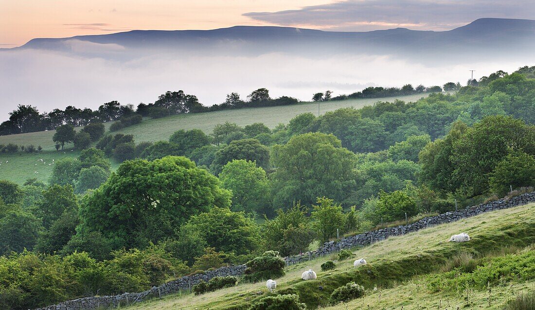 Mist approaches the sloping fields and woodland above the Usk Valley near Llangynidr,  Brecon Beacons,  Powys,  Wales,  United Kingdom,  Europe
