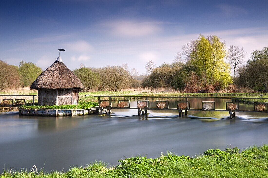 Thatched fisherman's hut and eel traps spanning the River Test near Leckford,  Hampshire,  England,  United Kingdom,  Europe