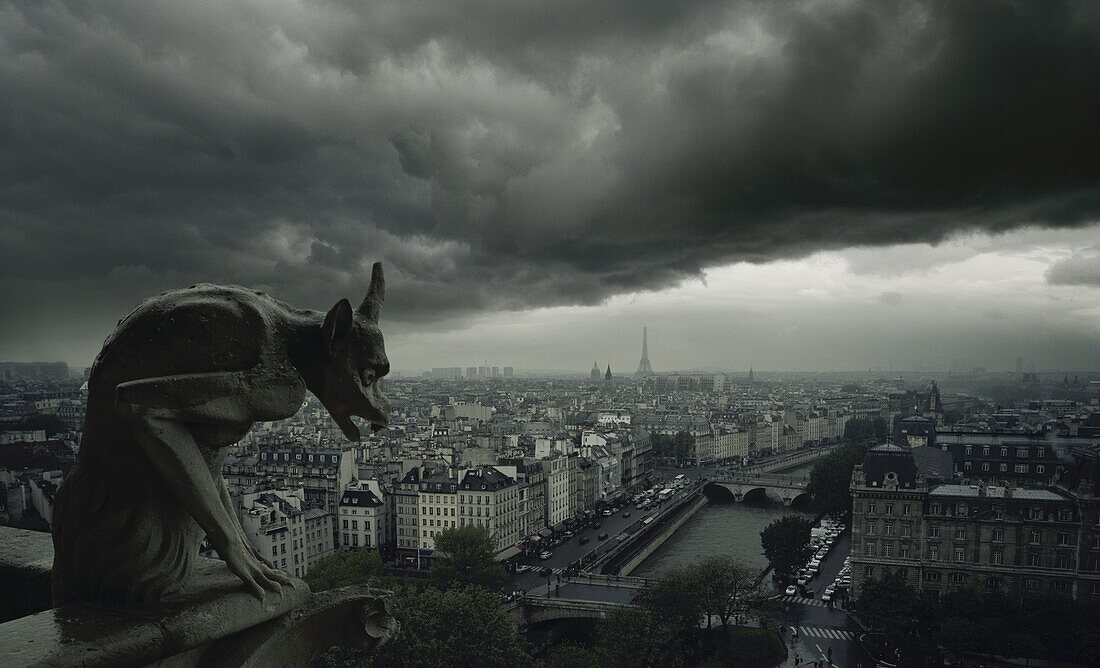 Gargoyle,  Notre Dame Cathedral,  Paris,  France,  Europe