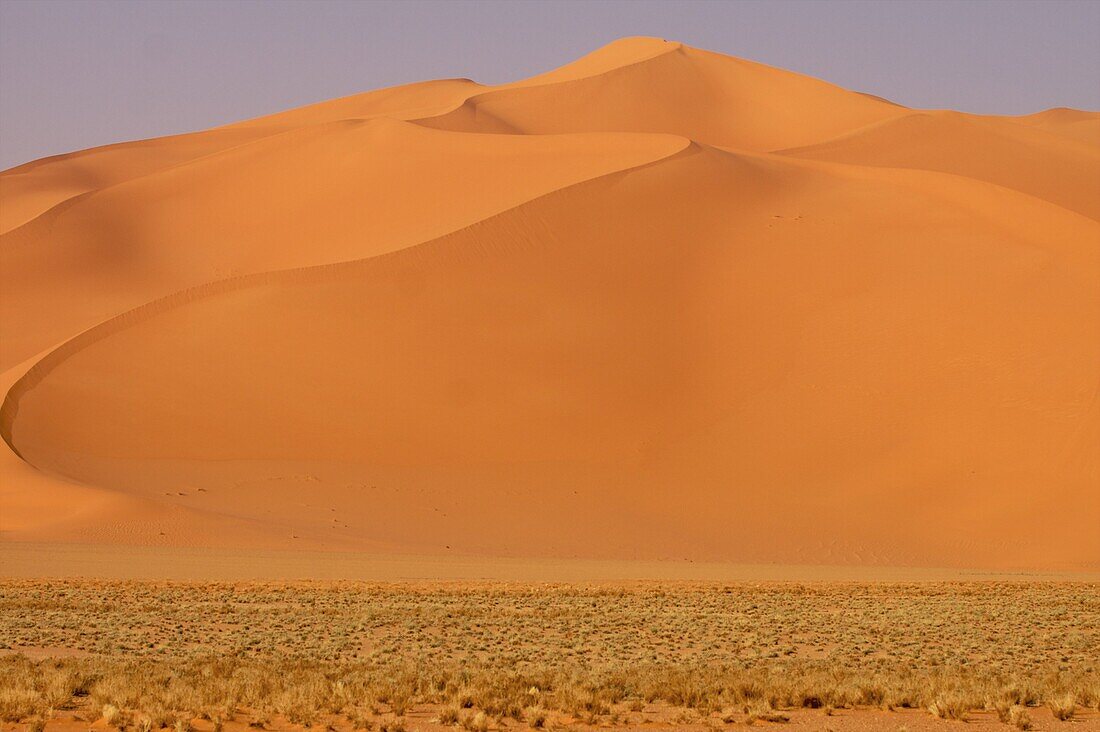 The dunes of the erg of Murzuk in the Fezzan desert,  Libya,  North Africa,  Africa