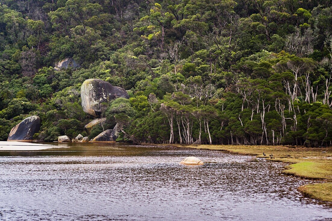 Wilsons Promontory National Park,  Victoria,  Australia,  Pacific