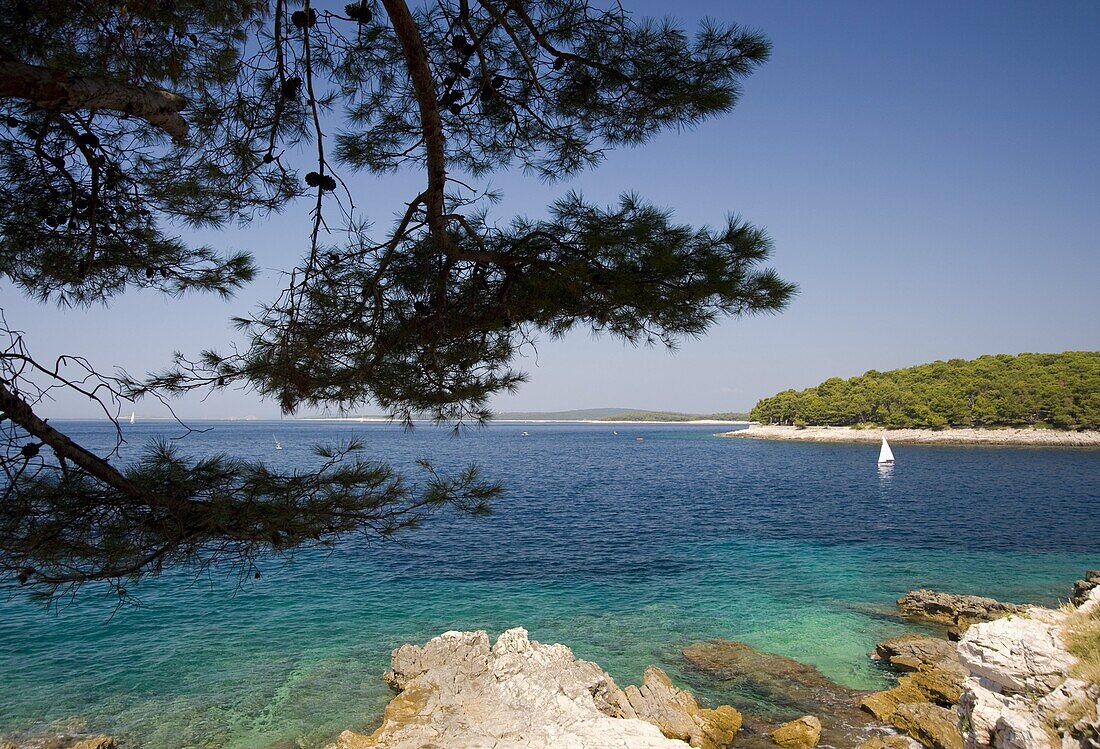 A view of the sea near Mali Losinj on the island of Losinj, Kvarner region, Croatia, Europe