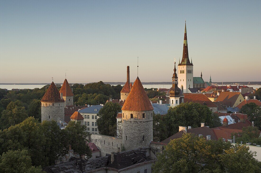 Medieval town walls and spire of St. Olavs church at dusk, Tallinn, Estonia, Baltic States, Europe