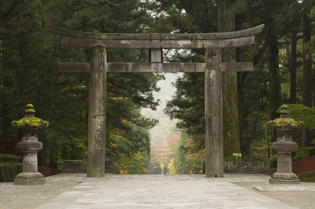 Stone Torii, Tosho-gu Shrine, Nikko, Central Honshu (Chubu), Japan, Asia