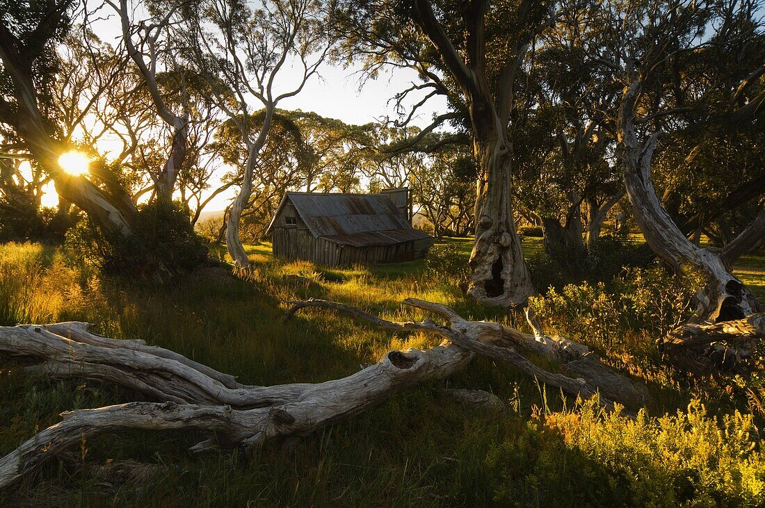 Wallace's Hut, Bogong High Plains, Apline National Park, Victoria, Australia, Pacific