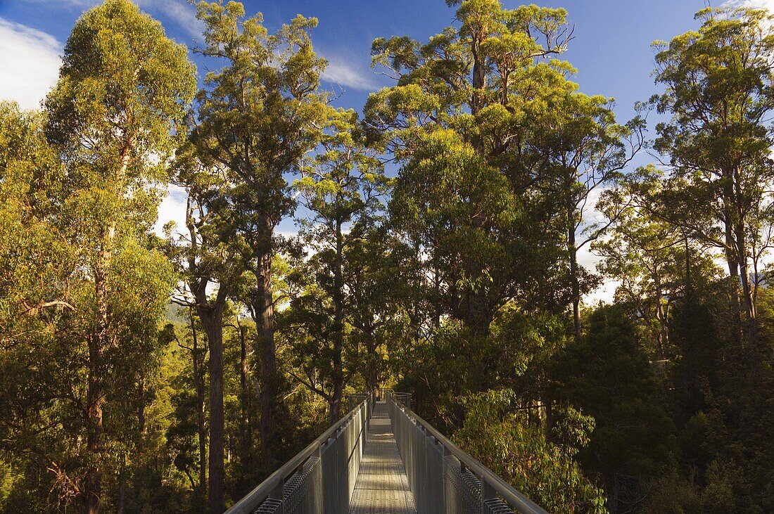 Airwalk, Tahune Forest Reserve, Tasmania, Australia, Pacific