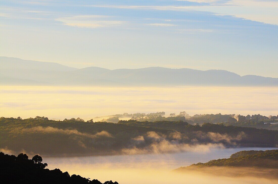 Morning fog over the Silvan Reservoir, Dandenong Ranges, Victoria, Australia, Pacific