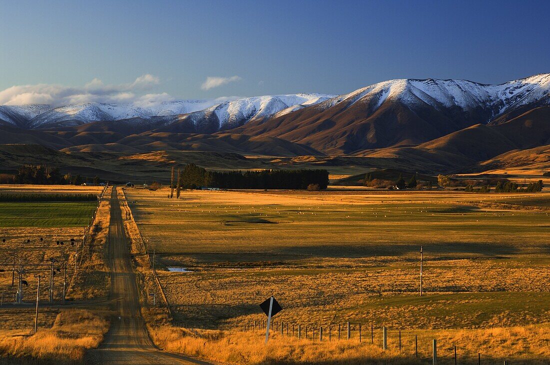 Gravel road and Hawkdun Range, Ranfurly, Central Otago, South Island, New Zealand, Pacific