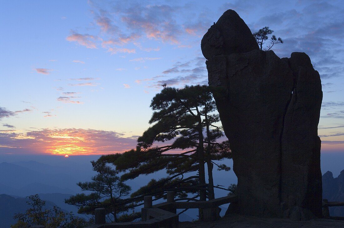 Silhouette of pine tree, White Cloud scenic area, Huang Shan (Mount Huangshan) (Yellow Mountain), UNESCO World Heritage Site, Anhui Province, China, Asia