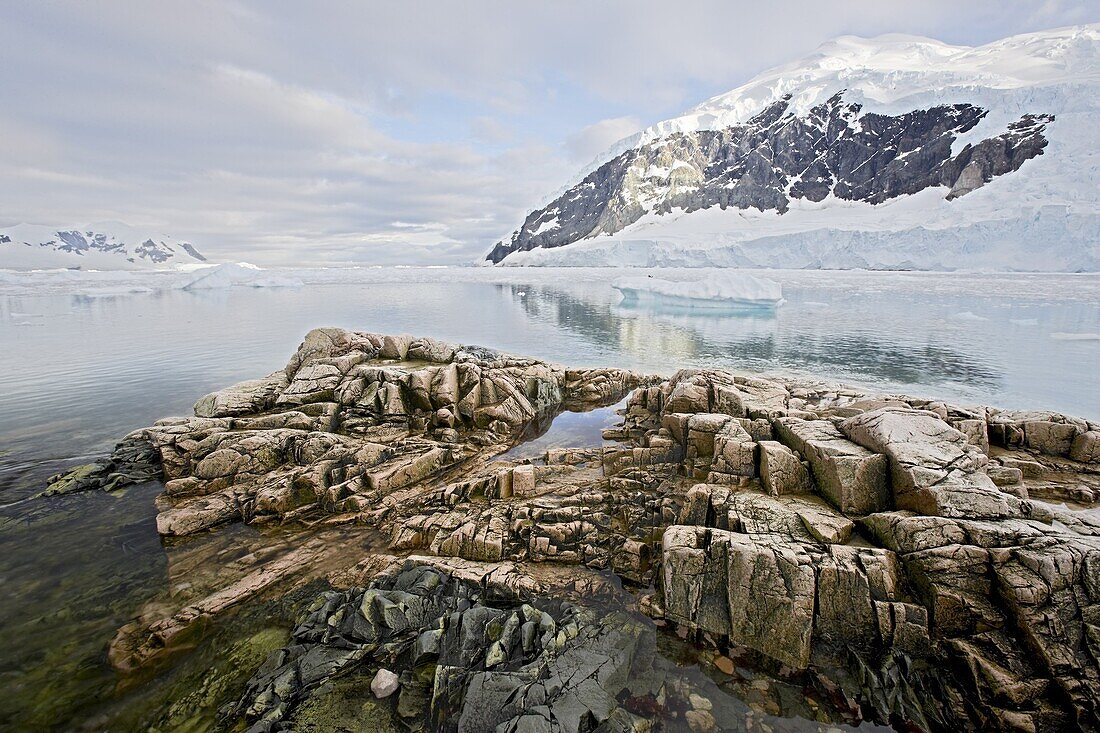 Neko Harbor, Antarctic Peninsula, Antarctica, Polar Regions