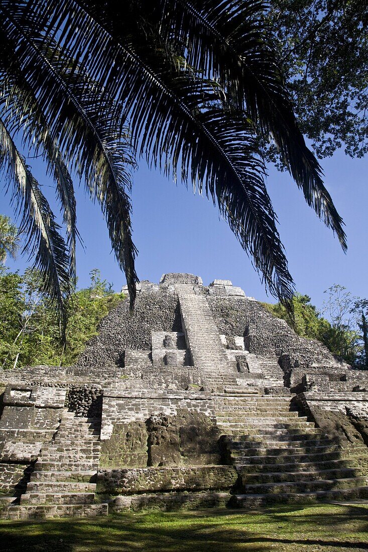 High Temple (Structure N10-43), the highest temple in the Mayan site, Lamanai, Belize, Central America