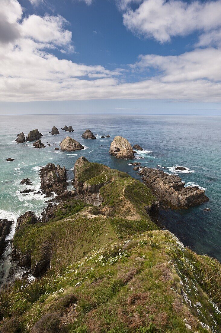 Nugget Point, Otago, South Island, New Zealand, Pacific