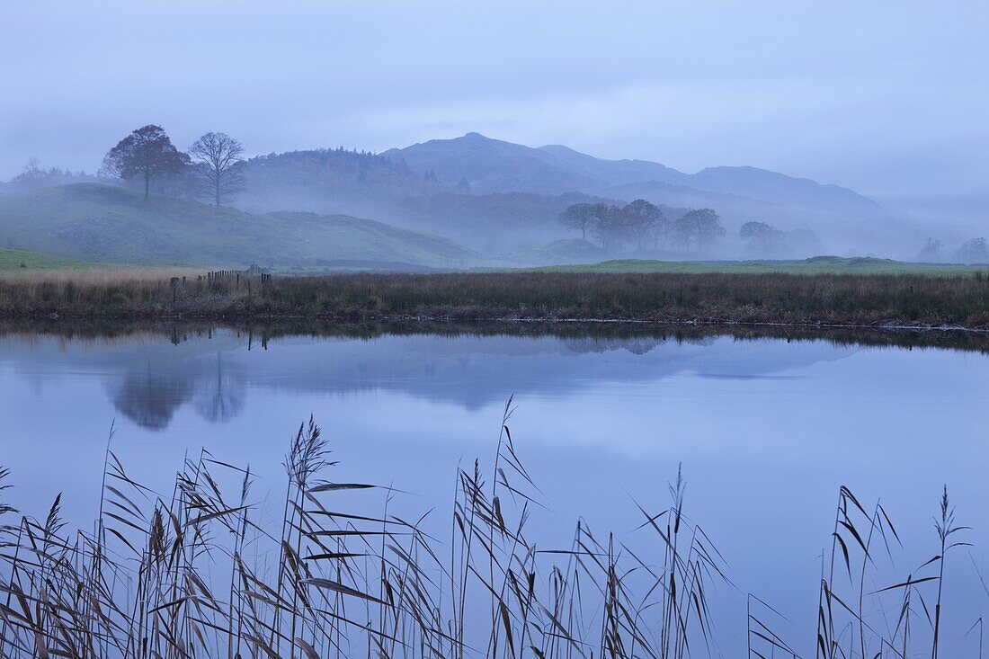 River Brathay on a misty morning near Elterwater, Lake District, Cumbria, England, United Kingdom, Europe