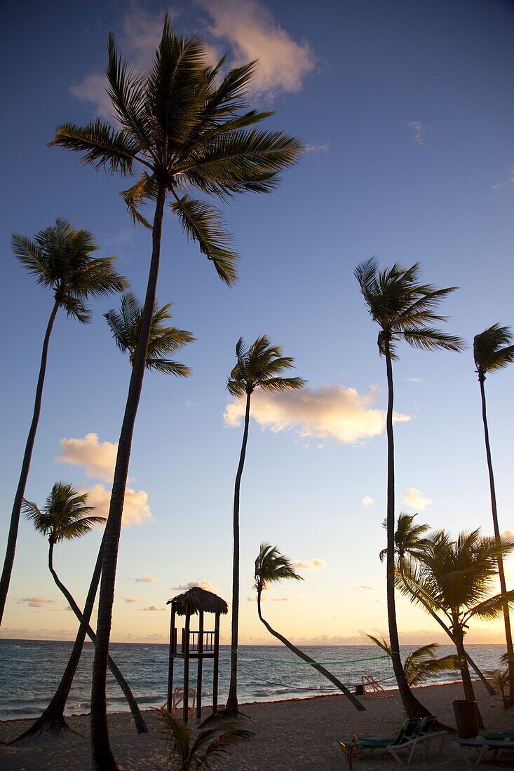 Bavaro Beach at sunrise, Punta Cana, Dominican Republic, West Indies, Caribbean, Central America