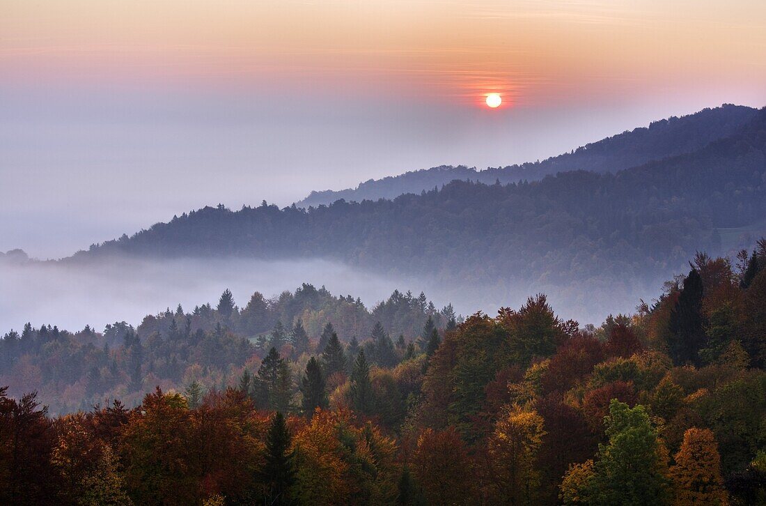 Mist over the Ljubljana Basin at sunrise in autumn, Central Slovenia, Slovenia, Europe