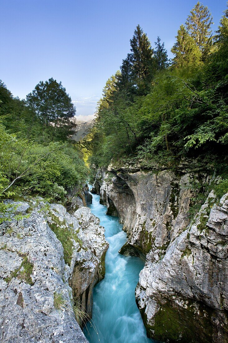 Overlooking the depths of the narrow gorge of Velika Korita, Gorenjska, Slovenia, Europe
