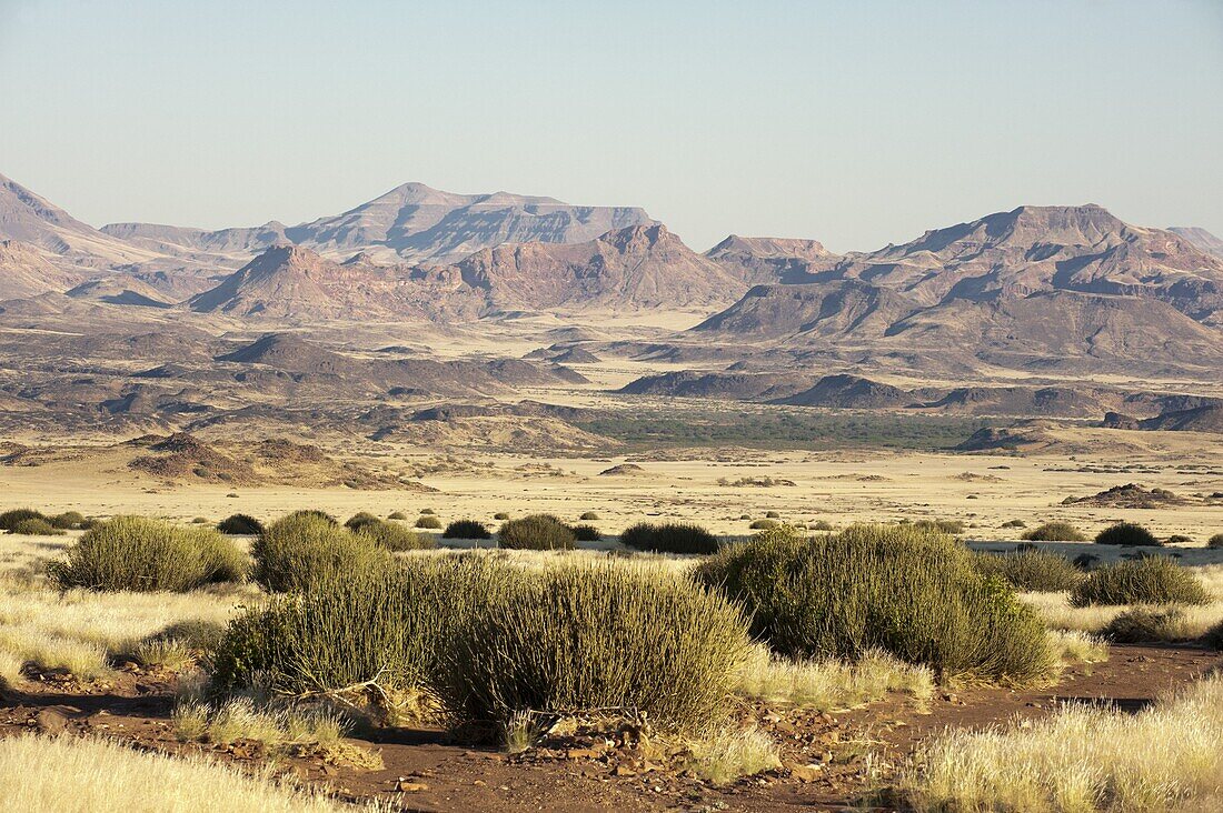 Huab River Valley, Torra Conservancy, Damaraland, Namibia, Africa
