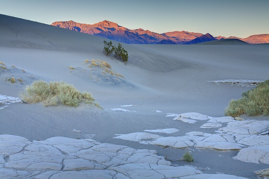 Dried mud in the Mesquite Flat Sand Dunes, Death Valley National Park, California, United States of America, North America
