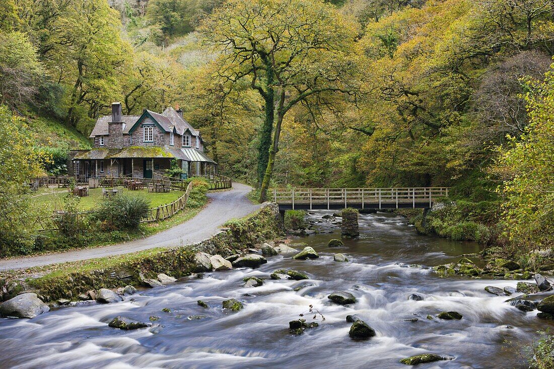 Watersmeet House in autumn, Exmoor National Park, Devon, England, United Kingdom, Europe