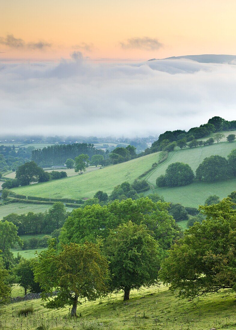 Mist hangs low in a valley at dawn, Brecon Beacons National Park, Powys, Wales, United Kingdom, Europe