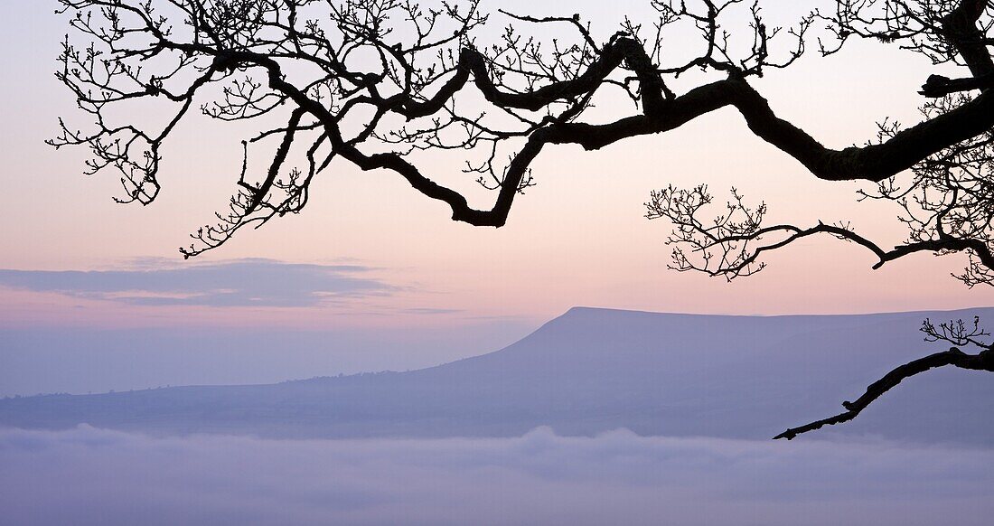Mynydd Troed mountain rising above a mist filled valley at dawn, Brecon Beacons National Park, Powys, Wales, United Kingdom, Europe