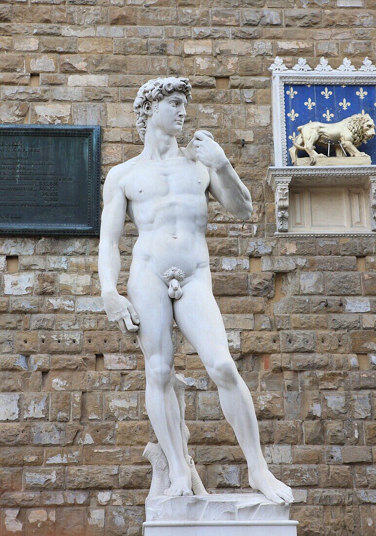 Statue of David, Piazza della Signoria, Florence, UNESCO World Heritage Site, Tuscany, Italy, Europe