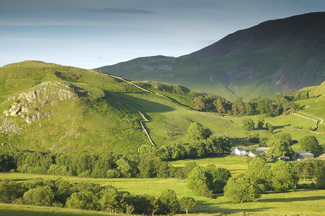 Matterdale Common, near Dale Bottom, Lake District National Park, Cumbria, England, United Kingdom, Europe