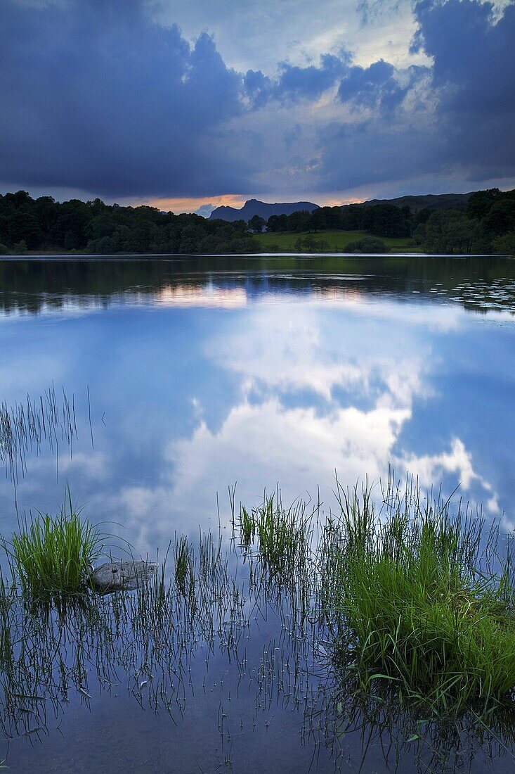 Loughrigg Tarn, Lake District National Park, Cumbria, England, United Kingdom, Europe