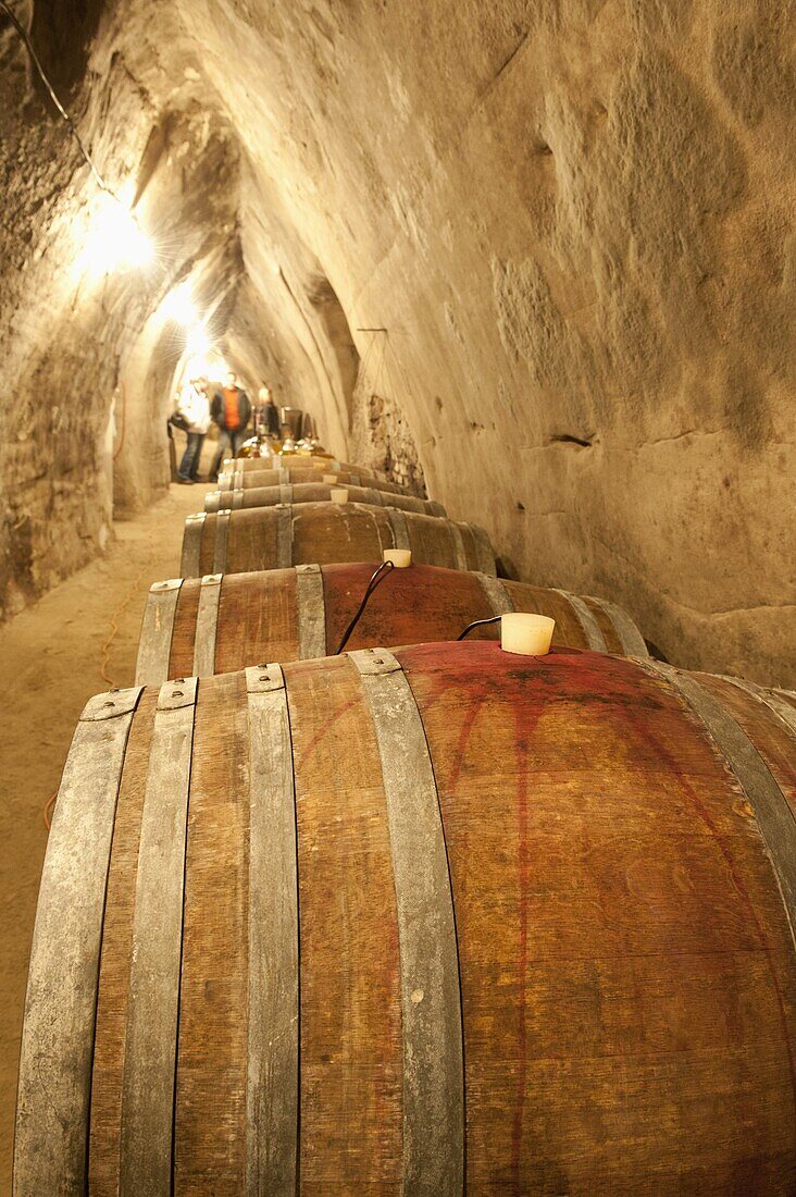 Wooden wine barels in sandstone wine cellar, Novy Saldorf, Brnensko, Czech Republic, Europe