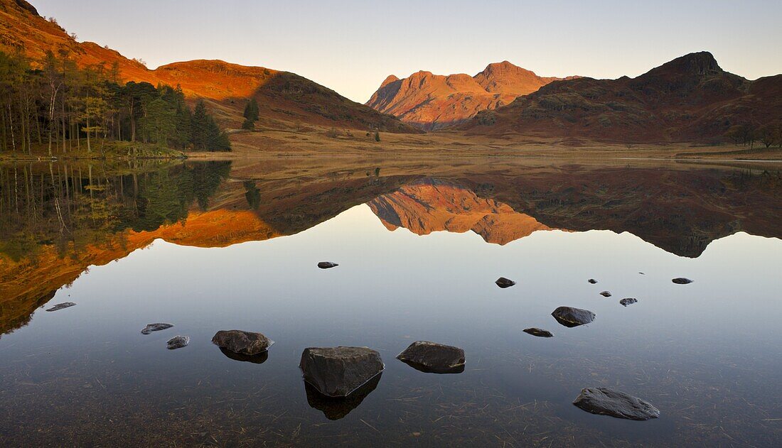 The Langdale Pikes reflected in a mirrorlike Blea Tarn at sunrise, Lake District National Park, Cumbria, England, United Kingdom, Europe