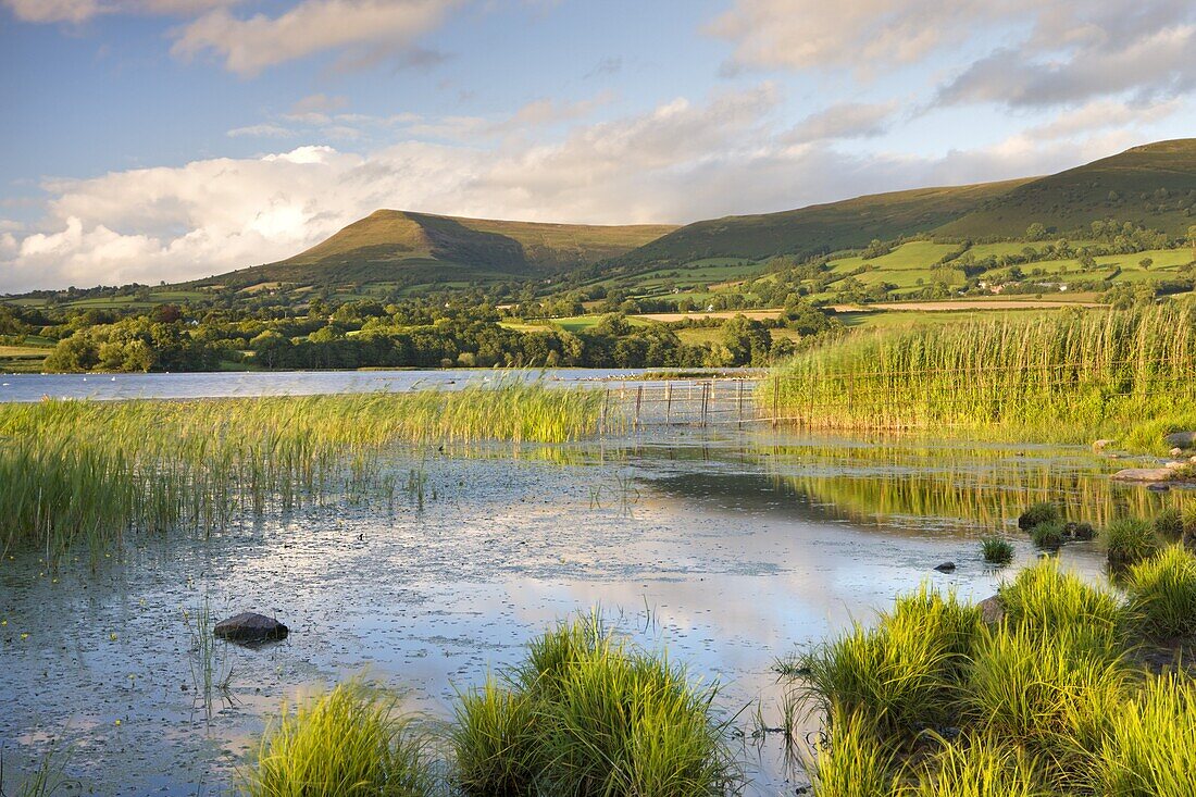 Mynydd Troed mountain from the sunlit shores of Llangorse Lake, Brecon Beacons National Park, Powys, Wales, United Kingdom, Europe