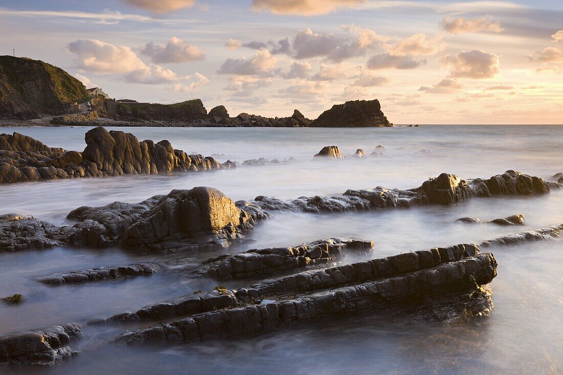 Late evening sunshine glistens on the wet rocks at Hartland Quay, North Devon, England, United Kingdom, Europe