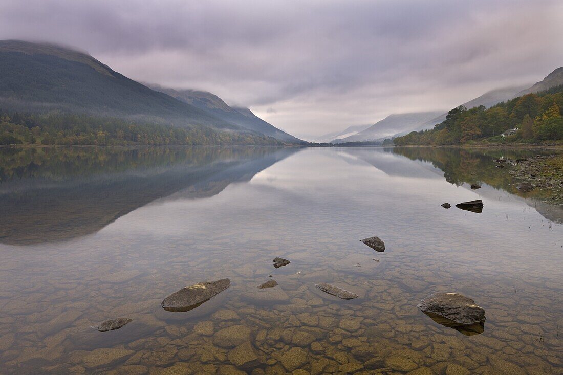Misty autumn morning on the shores of Loch Voil, The Trossachs, Stirling, Scotland, United Kingdom, Europe