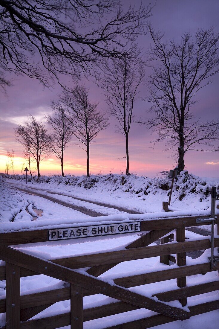 Snow covered wooden gate on a moorland road, Exmoor, Somerset, England, United Kingdom, Europe