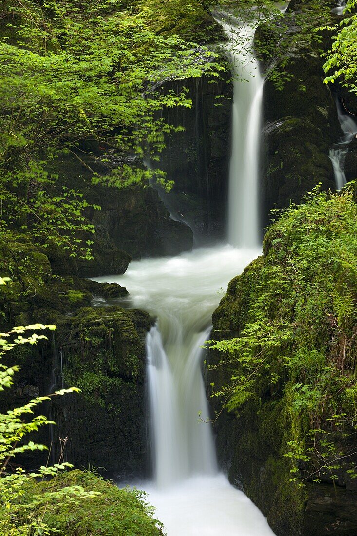 Waterfall on Hoar Oak River near Watersmeet, Exmoor, Devon, England, United Kingdom, Europe