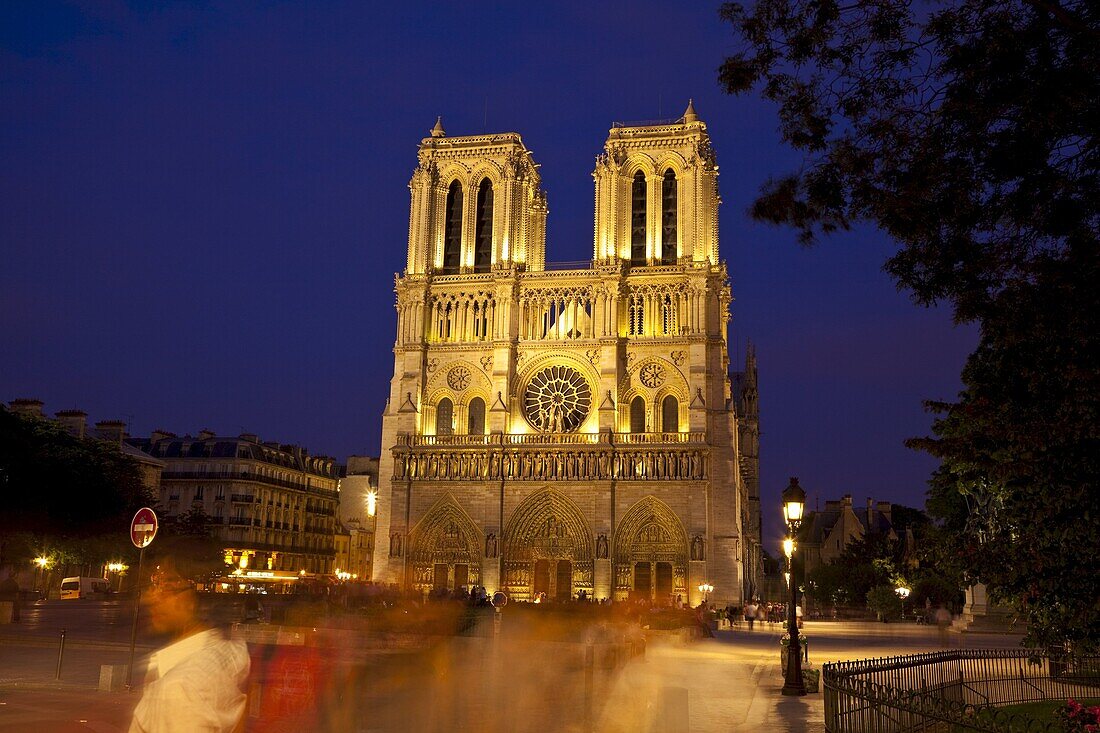 Notre Dame Cathedral at night, Paris, France, Europe