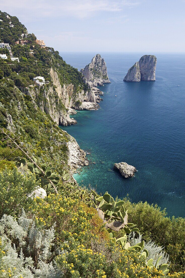 View of Faraglioni Rocks from Gardens of Augustus on Isle of Capri, Bay of Naples, Campania, Italy, Europe