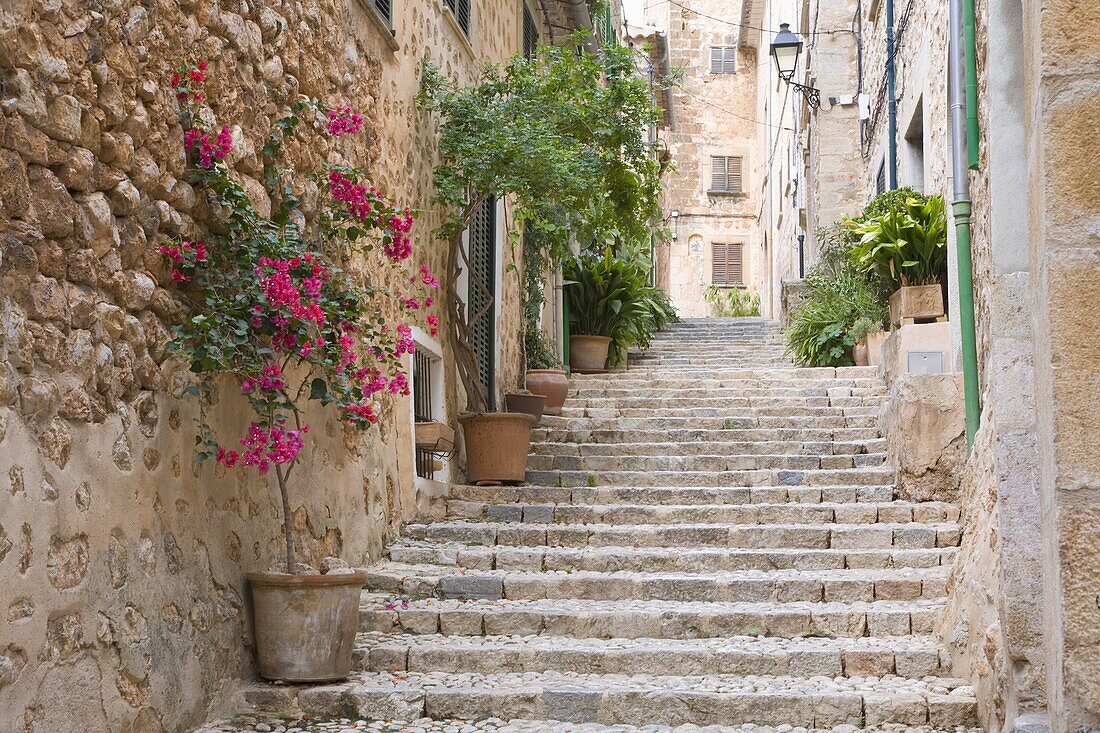 Flight of steps in the heart of the village Fornalutx near Soller, Mallorca, Balearic Islands, Spain, Europe